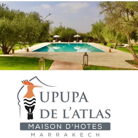 Upupa De L'Atlas Ouled el guerne Dış mekan fotoğraf