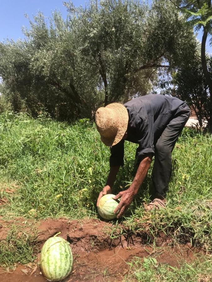 Upupa De L'Atlas Ouled el guerne Dış mekan fotoğraf