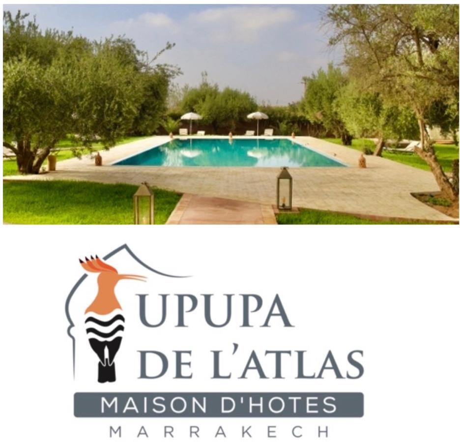 Upupa De L'Atlas Ouled el guerne Dış mekan fotoğraf