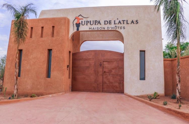 Upupa De L'Atlas Ouled el guerne Dış mekan fotoğraf