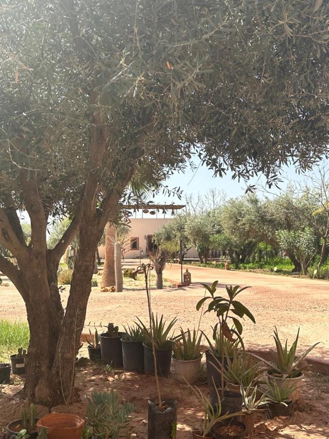 Upupa De L'Atlas Ouled el guerne Dış mekan fotoğraf